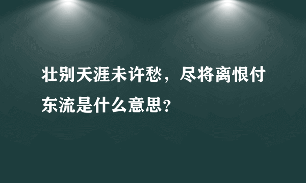 壮别天涯未许愁，尽将离恨付东流是什么意思？