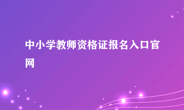 中小学教师资格证报名入口官网