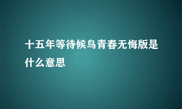 十五年等待候鸟青春无悔版是什么意思