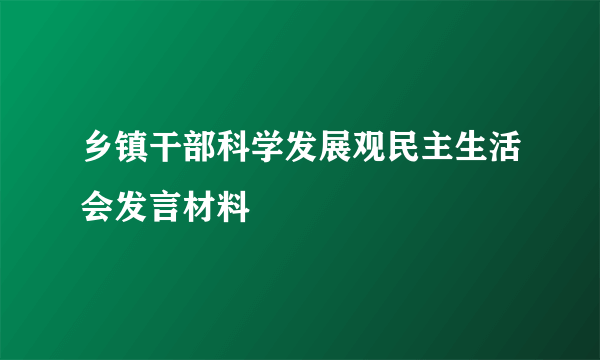 乡镇干部科学发展观民主生活会发言材料