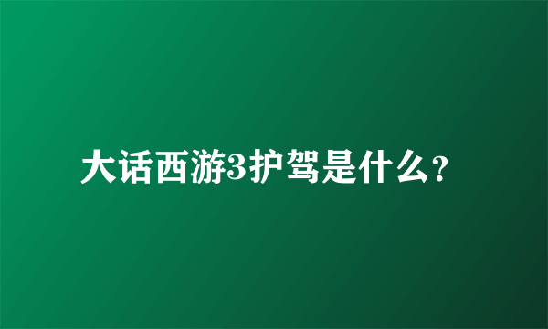 大话西游3护驾是什么？