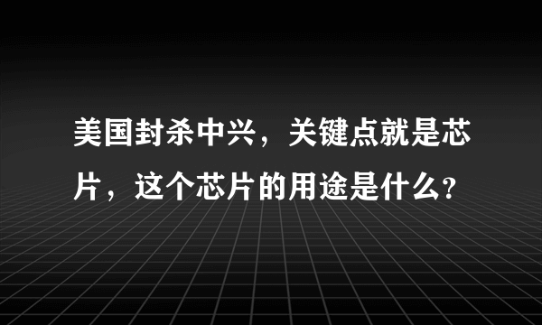 美国封杀中兴，关键点就是芯片，这个芯片的用途是什么？