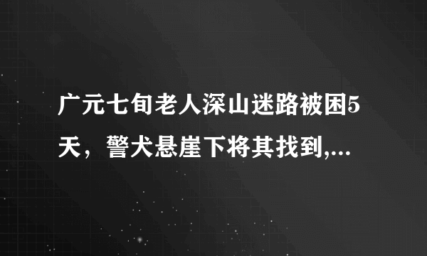 广元七旬老人深山迷路被困5天，警犬悬崖下将其找到, 你怎么看？