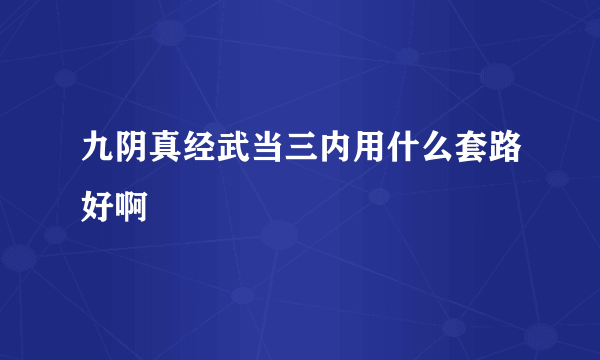 九阴真经武当三内用什么套路好啊