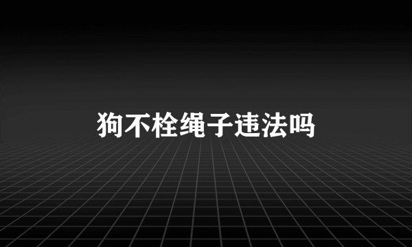 狗不栓绳子违法吗