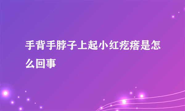 手背手脖子上起小红疙瘩是怎么回事