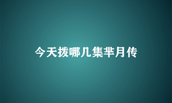 今天拨哪几集芈月传