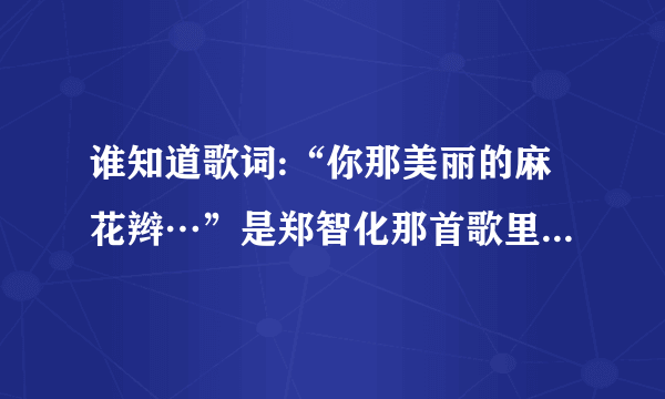 谁知道歌词:“你那美丽的麻花辫…”是郑智化那首歌里面的?歌曲名是什么？