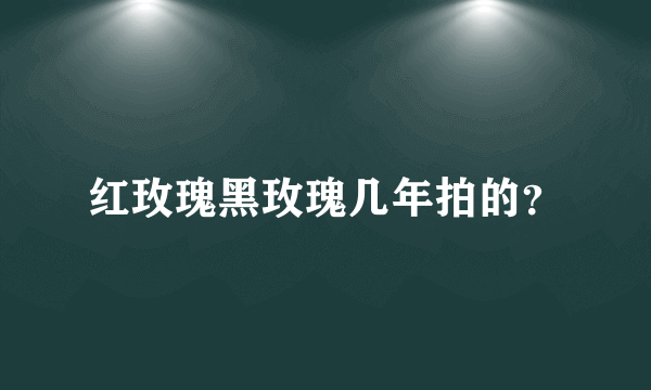 红玫瑰黑玫瑰几年拍的？