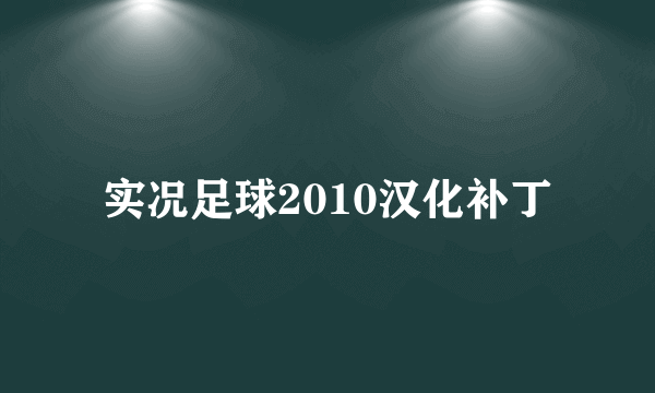 实况足球2010汉化补丁