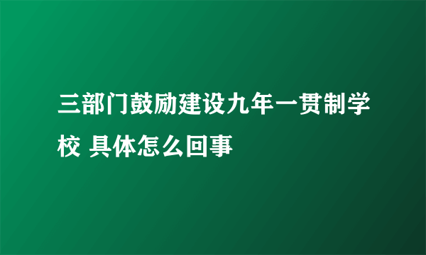 三部门鼓励建设九年一贯制学校 具体怎么回事