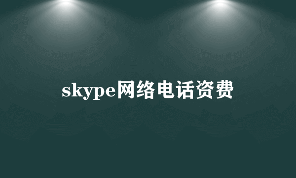 skype网络电话资费