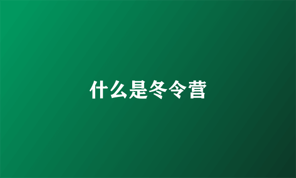 什么是冬令营