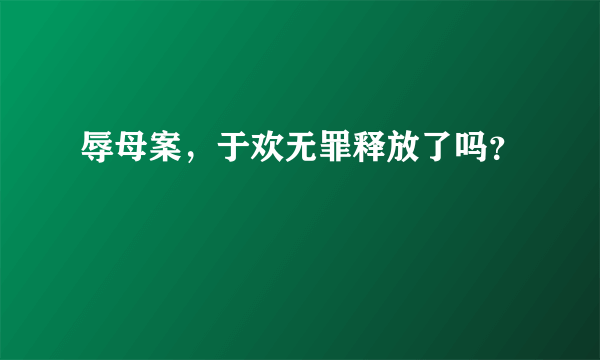 辱母案，于欢无罪释放了吗？