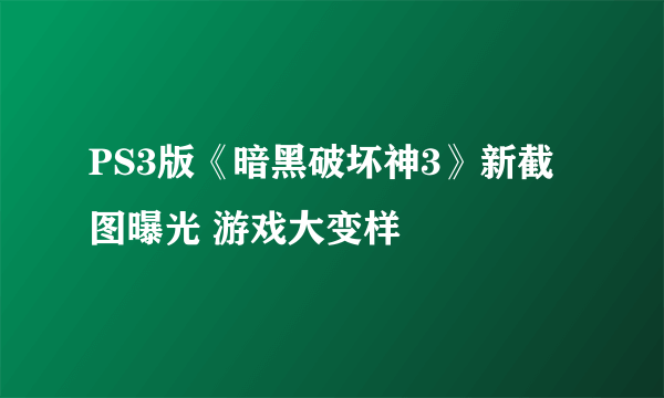 PS3版《暗黑破坏神3》新截图曝光 游戏大变样