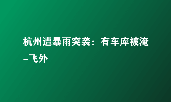 杭州遭暴雨突袭：有车库被淹-飞外