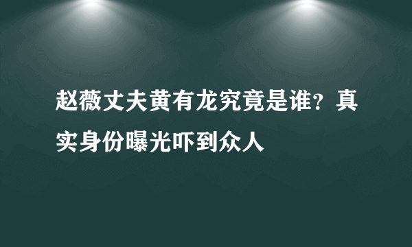 赵薇丈夫黄有龙究竟是谁？真实身份曝光吓到众人