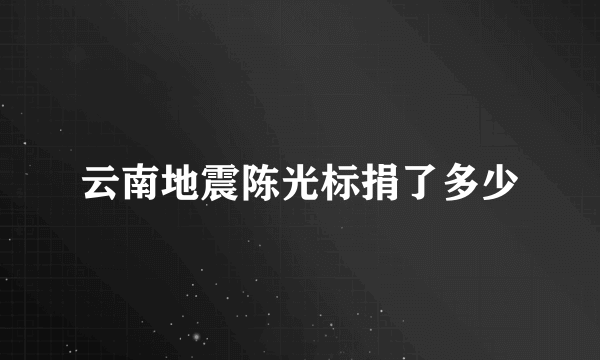 云南地震陈光标捐了多少