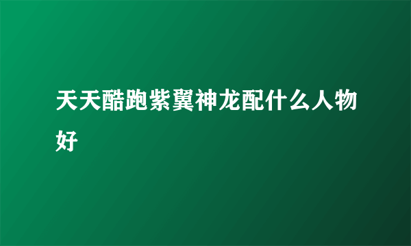 天天酷跑紫翼神龙配什么人物好