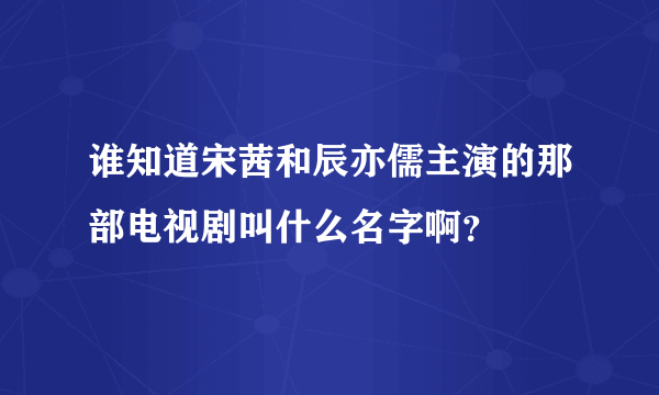 谁知道宋茜和辰亦儒主演的那部电视剧叫什么名字啊？