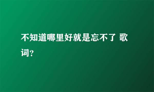 不知道哪里好就是忘不了 歌词？