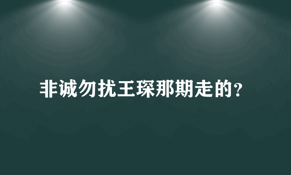 非诚勿扰王琛那期走的？