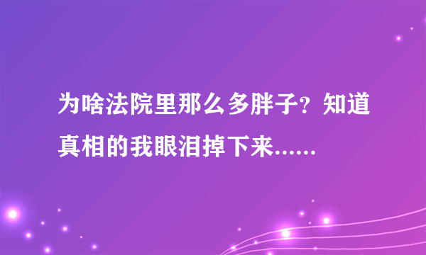 为啥法院里那么多胖子？知道真相的我眼泪掉下来......