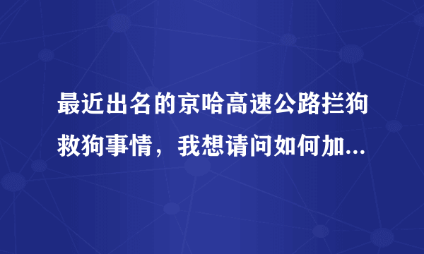 最近出名的京哈高速公路拦狗救狗事情，我想请问如何加入救狗志愿者，要详细全面的，就这麼点分，全给了！