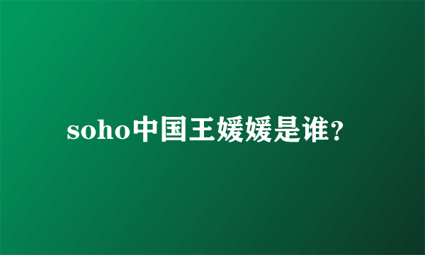 soho中国王媛媛是谁？