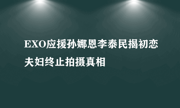 EXO应援孙娜恩李泰民揭初恋夫妇终止拍摄真相