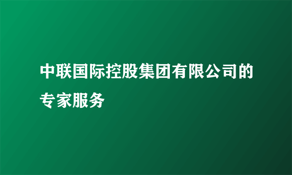 中联国际控股集团有限公司的专家服务