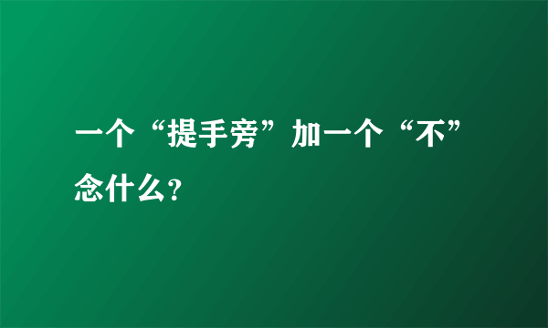 一个“提手旁”加一个“不”念什么？