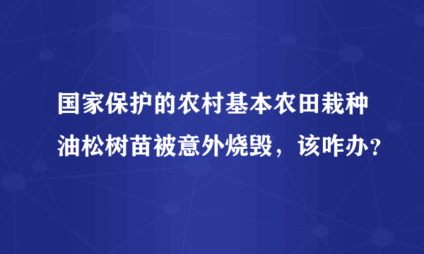 国家保护的农村基本农田栽种油松树苗被意外烧毁，该咋办？
