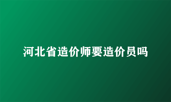 河北省造价师要造价员吗