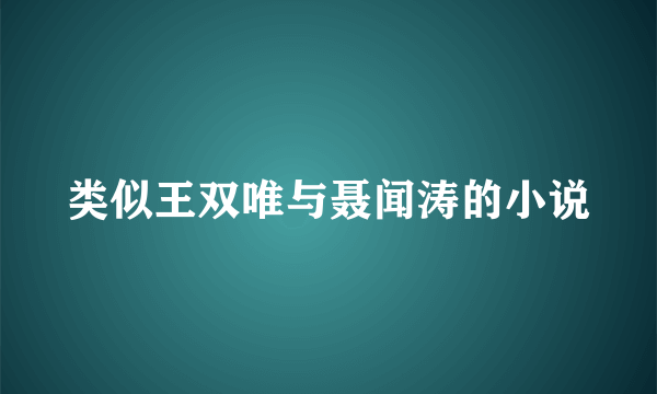 类似王双唯与聂闻涛的小说