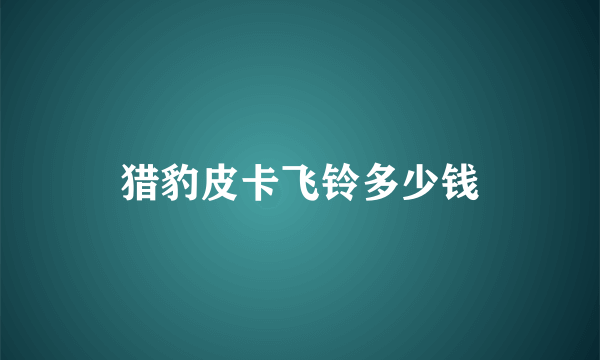 猎豹皮卡飞铃多少钱