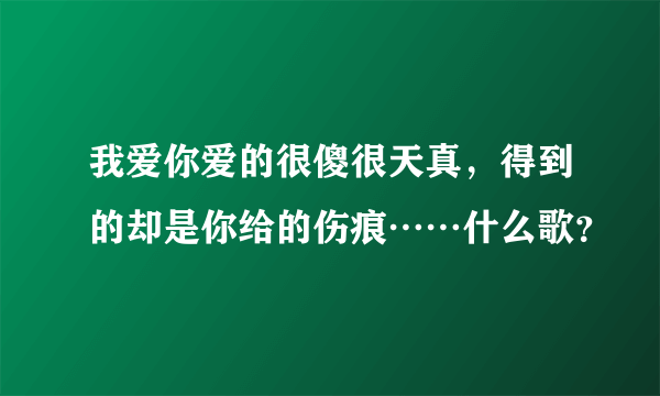 我爱你爱的很傻很天真，得到的却是你给的伤痕……什么歌？