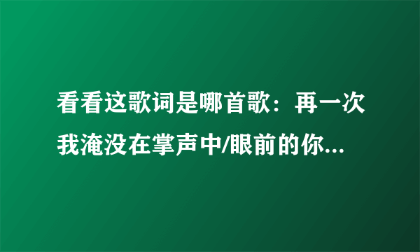 看看这歌词是哪首歌：再一次我淹没在掌声中/眼前的你竟如此激动/黑暗中