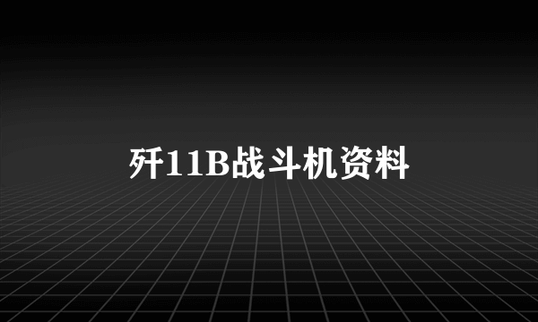 歼11B战斗机资料