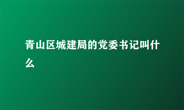 青山区城建局的党委书记叫什么