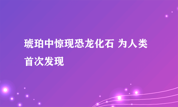 琥珀中惊现恐龙化石 为人类首次发现