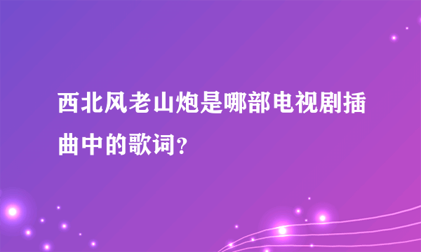 西北风老山炮是哪部电视剧插曲中的歌词？