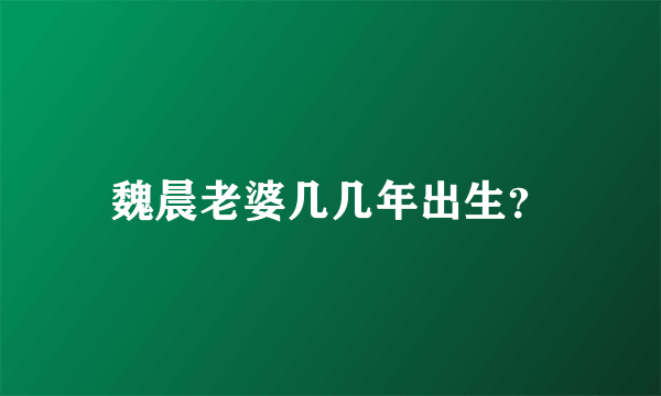 魏晨老婆几几年出生？