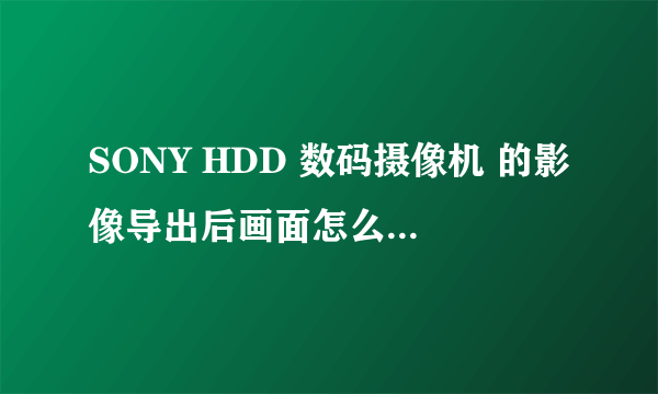 SONY HDD 数码摄像机 的影像导出后画面怎么没有时间日期显示