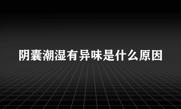 阴囊潮湿有异味是什么原因