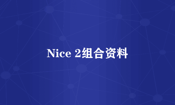 Nice 2组合资料