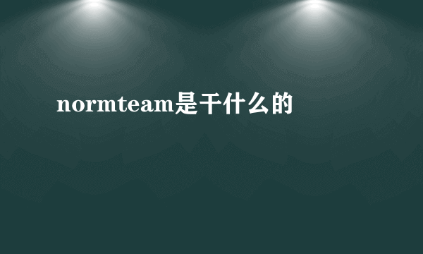 normteam是干什么的