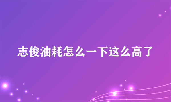 志俊油耗怎么一下这么高了