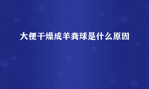 大便干燥成羊粪球是什么原因