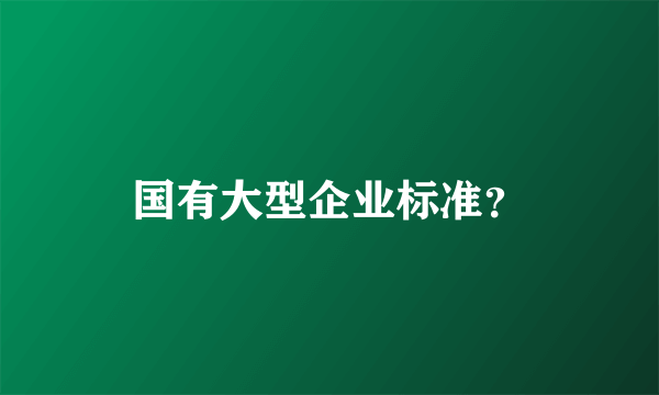 国有大型企业标准？